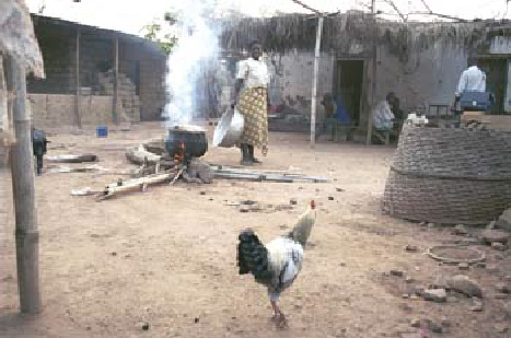 Village compound